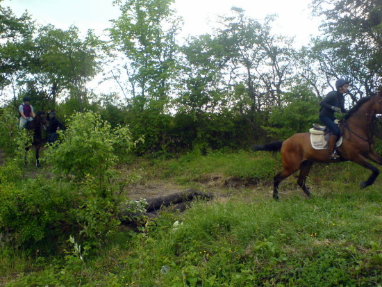 Mit F&uuml;hrpferd &uuml;ber den Graben
