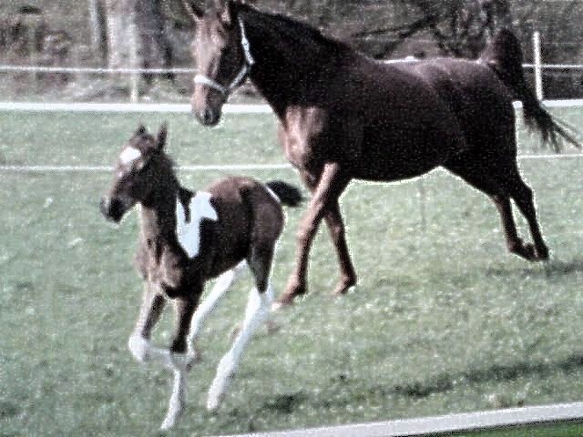 Finn und Mama in action