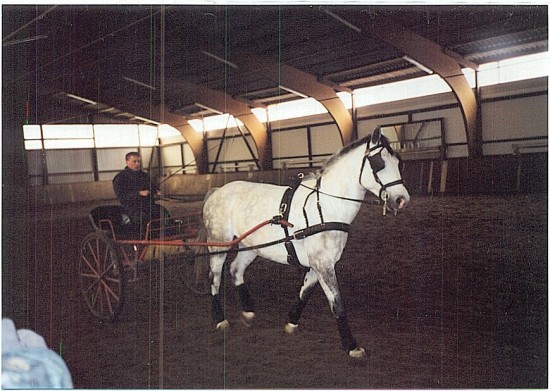 Flora vor der Kutsche