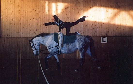 Flora als Voltipferd