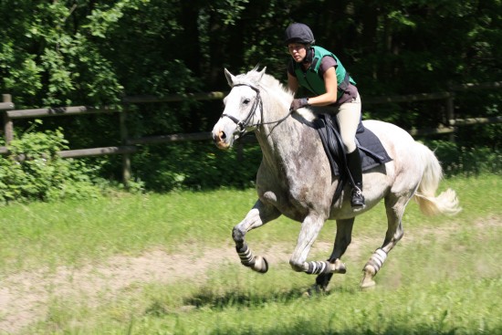 Melanie im Galopp