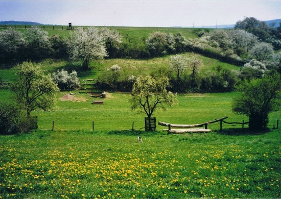 Gel&auml;nde Niederbrechen