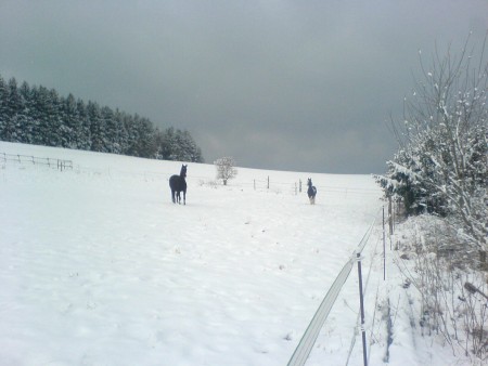 Pina und Floris Winter 2008