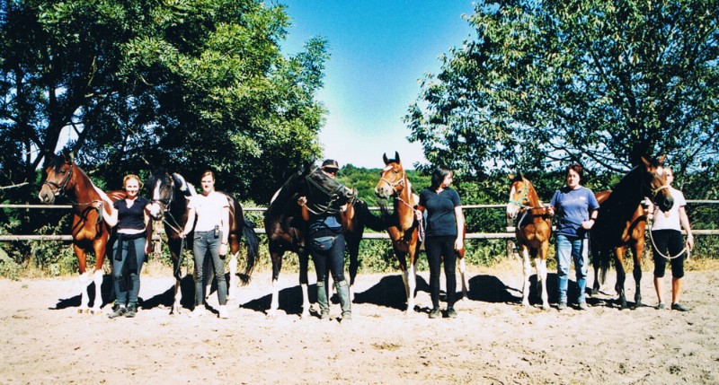 Schecken Hofgut Adamstal