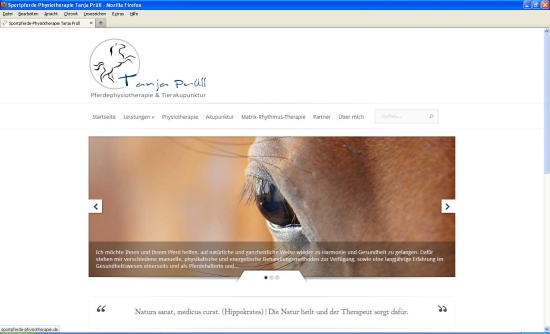 www.sportpferde-physiotherapie.de